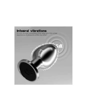 Plug vibrant acier inoxydable anal taille M avec télécommande, USB BOOTY 