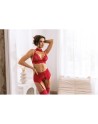 Velvet sin ensemble lingerie - Cherry
